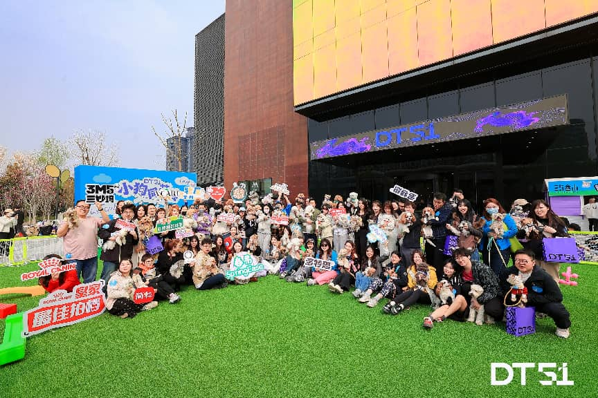 萌宠集结，欢乐绽放｜DT51 宠物运动会圆满落幕