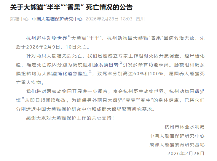 大熊猫“半半”“香果”相继死亡，官方通报：责令涉事动物园闭馆整改，将开展进一步调查